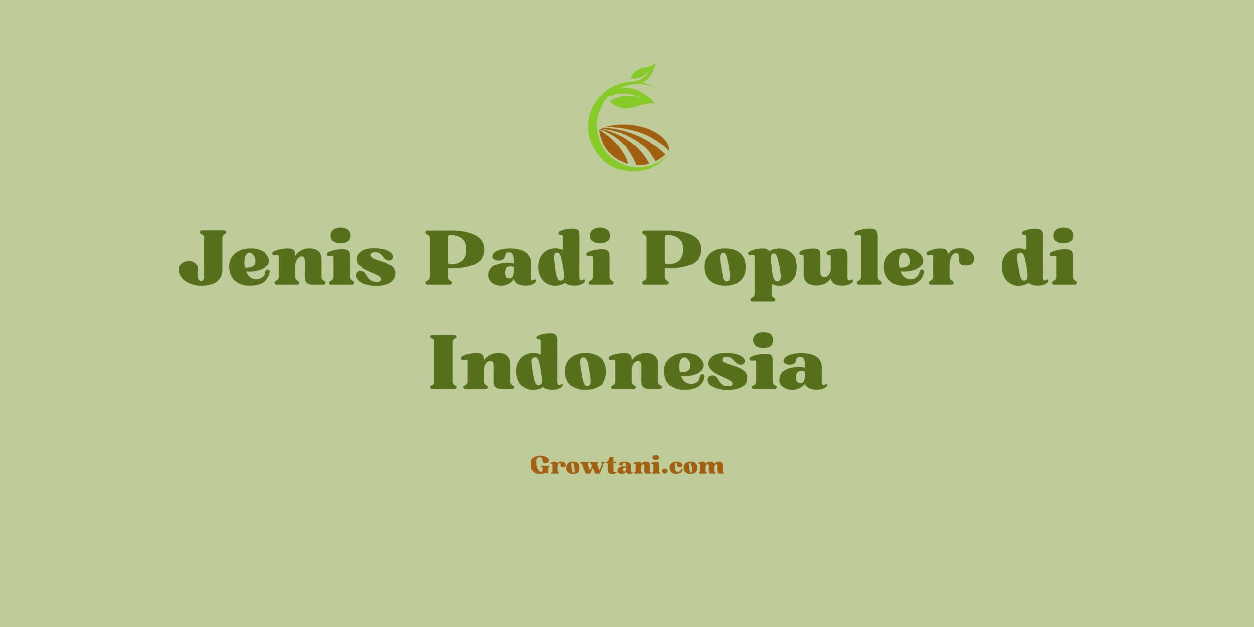 Mengenal Jenis Padi Unggulan yang Populer di Kalangan Petani