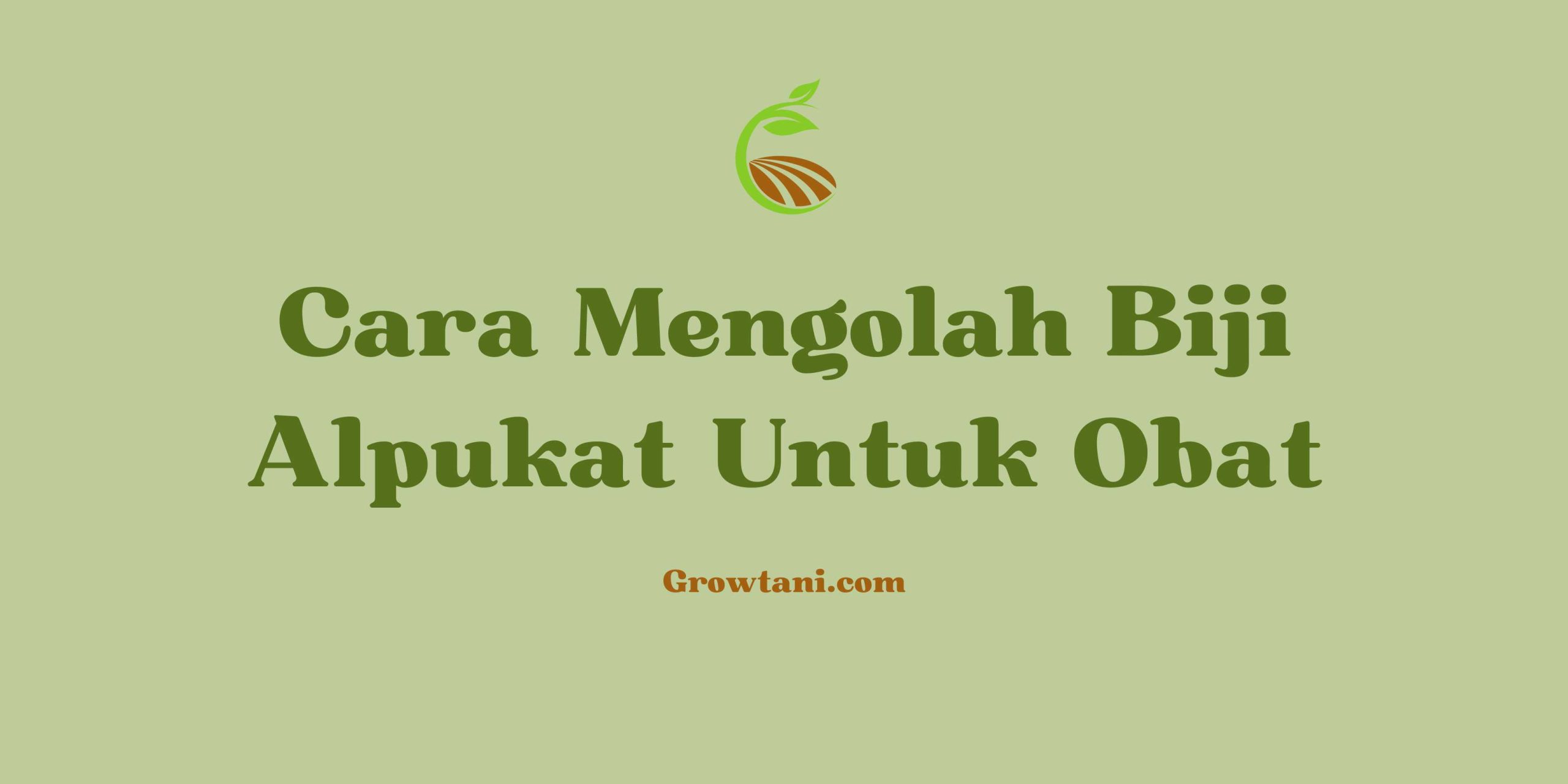 Cara Mengolah Biji Alpukat Untuk Obat