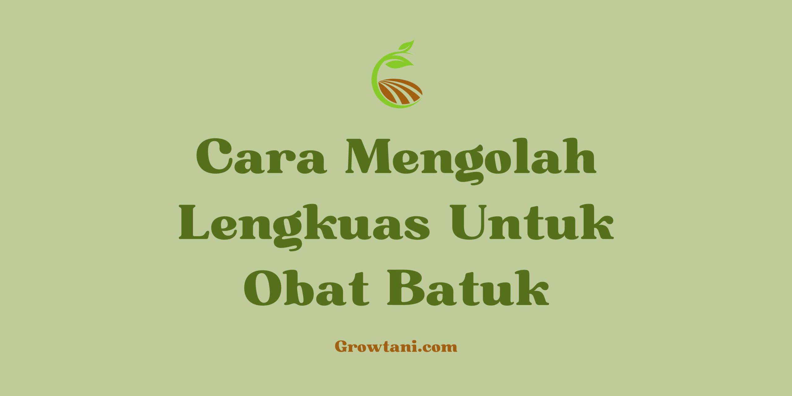 Cara Mengolah Lengkuas Untuk Obat Batuk