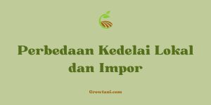 Perbedaan Kedelai Lokal dan Impor